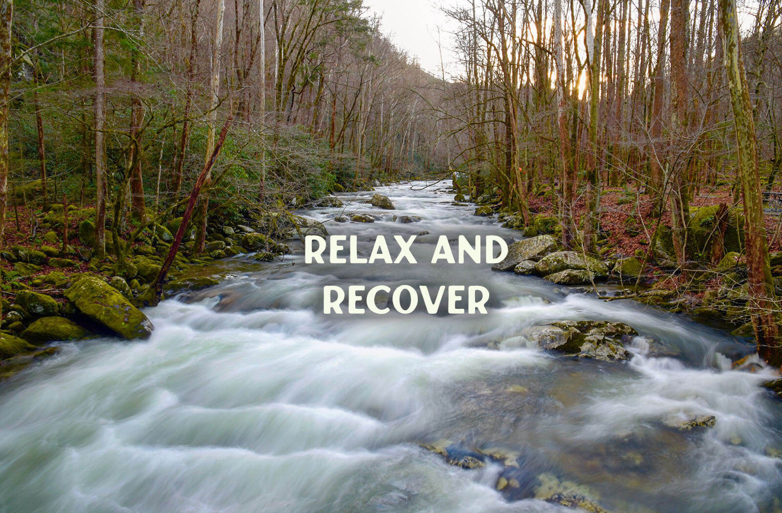 Topo Cannabis - relax and recover banner