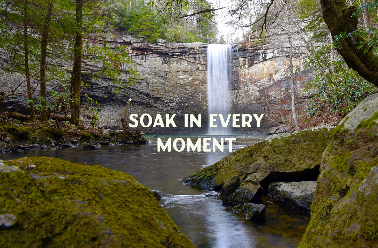 Topo Cannabis - Soak in every moment banner