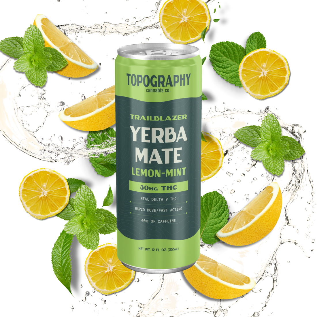 Yerba Mate 101: What Is It?