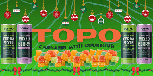 Light Up Your Holidays With TOPO
