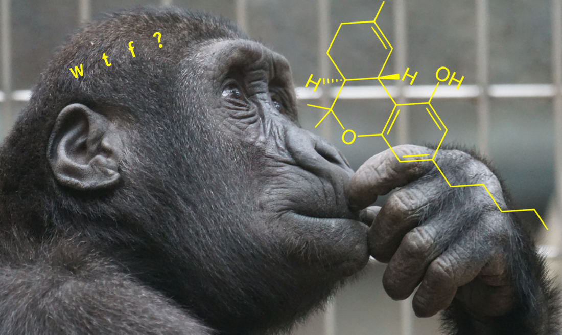 Nano-Emulsification 101: What Is Rapid Dose THC?