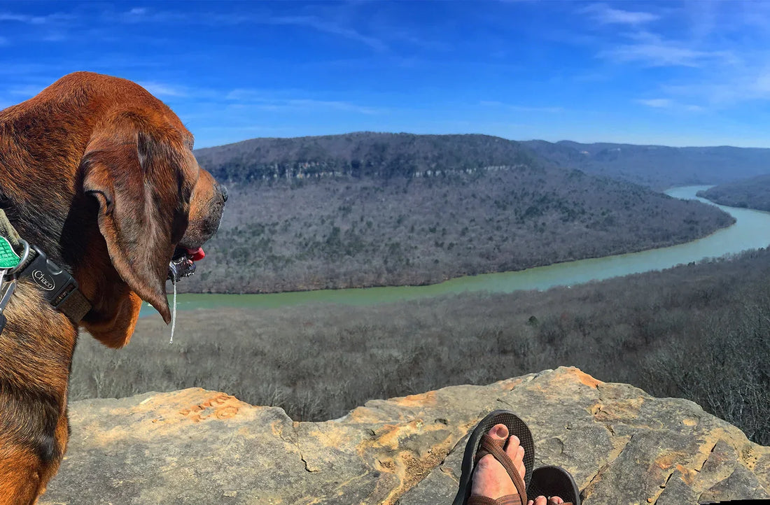 Spring Into the Outdoors with Topo Cannabis: Elevated Moments, Anywhere