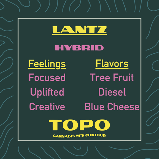 Lantz Hybrid cannabis product label with descriptors and flavors on a dark green background.
