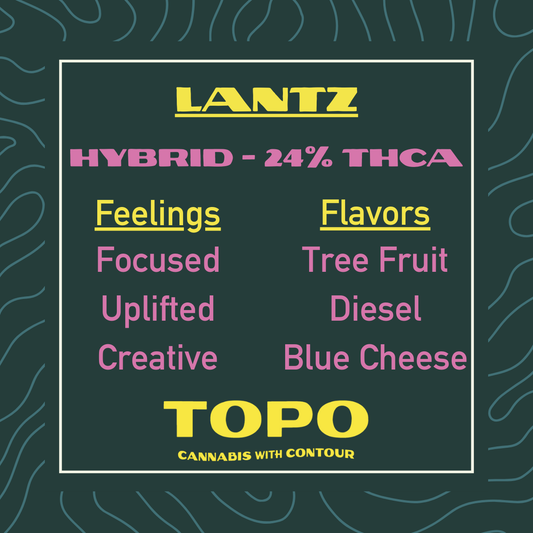 Lantz THCa Hemp Flower