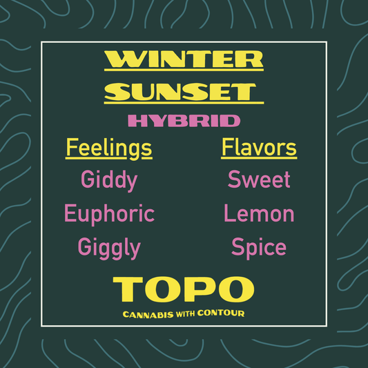 Promotional graphic for 'Winter Sunset Hybrid' by TOPO with text on a dark green background.